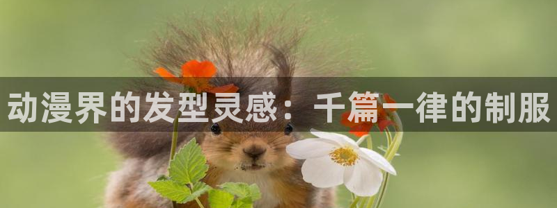 78动漫不用下载看