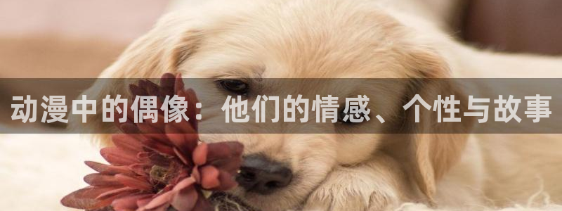 78动漫资料库打不开